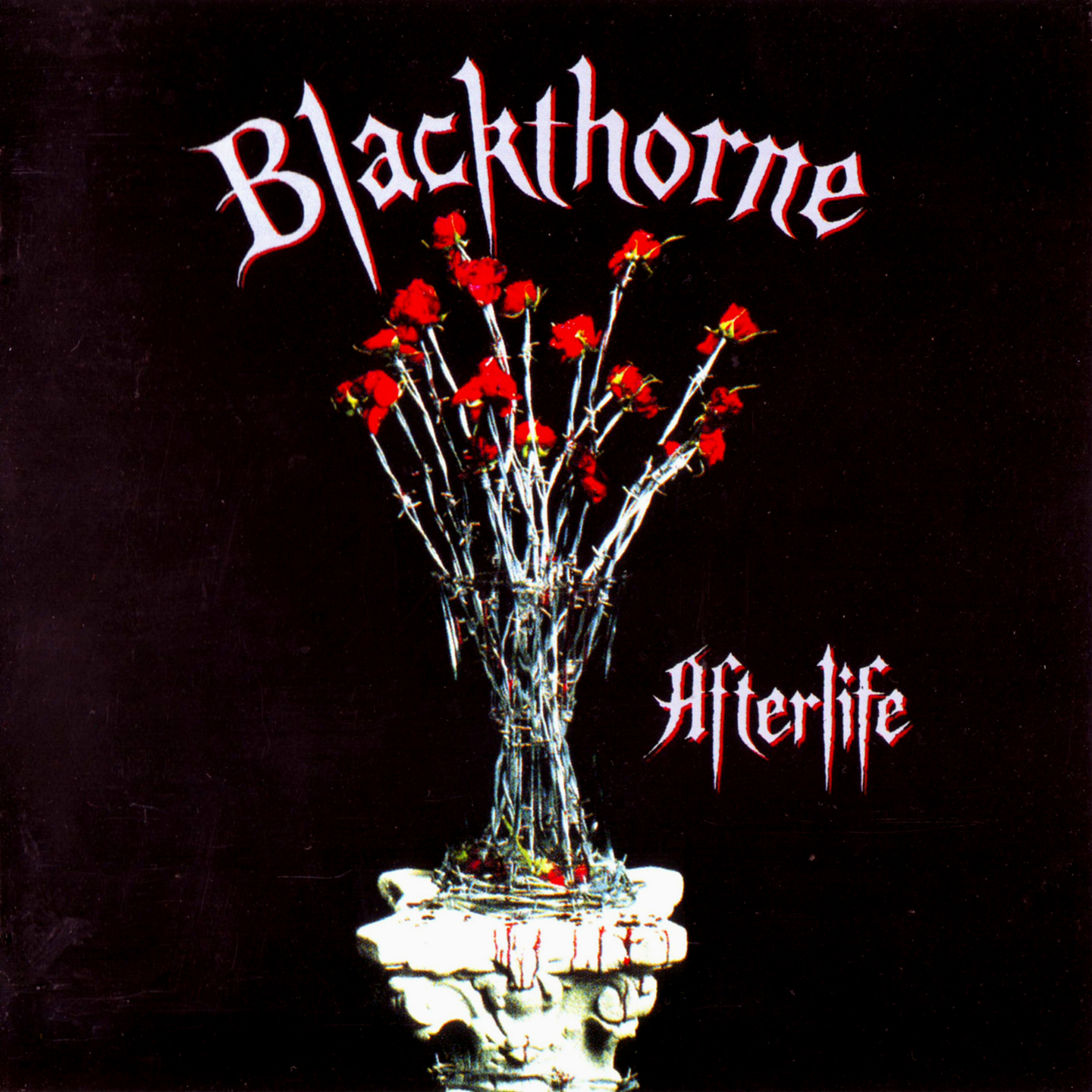 Blackthorne – A Look at the Supergroup’s Lone Studio Effort from 1993!
