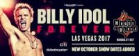AND THE WINNER OF THE BILLY IDOL FOREVER CONTEST IS…..