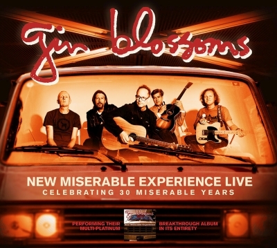 Gin Blossoms Perform the Essential New Miserable Experience